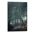 Engaño - Ionut Petrea | Cuadro decorativo de Canvas Lab