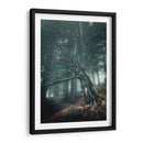 Engaño - Ionut Petrea | Cuadro decorativo de Canvas Lab