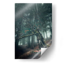 Engaño - Ionut Petrea | Cuadro decorativo de Canvas Lab