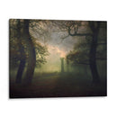 Un día extraño... - Robert Fabrowski | Cuadro decorativo de Canvas Lab