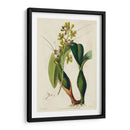 Orquídea Primavera Iii - Ridgeway | Cuadro decorativo de Canvas Lab