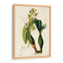 Orquídea Primavera Iii - Ridgeway | Cuadro decorativo de Canvas Lab