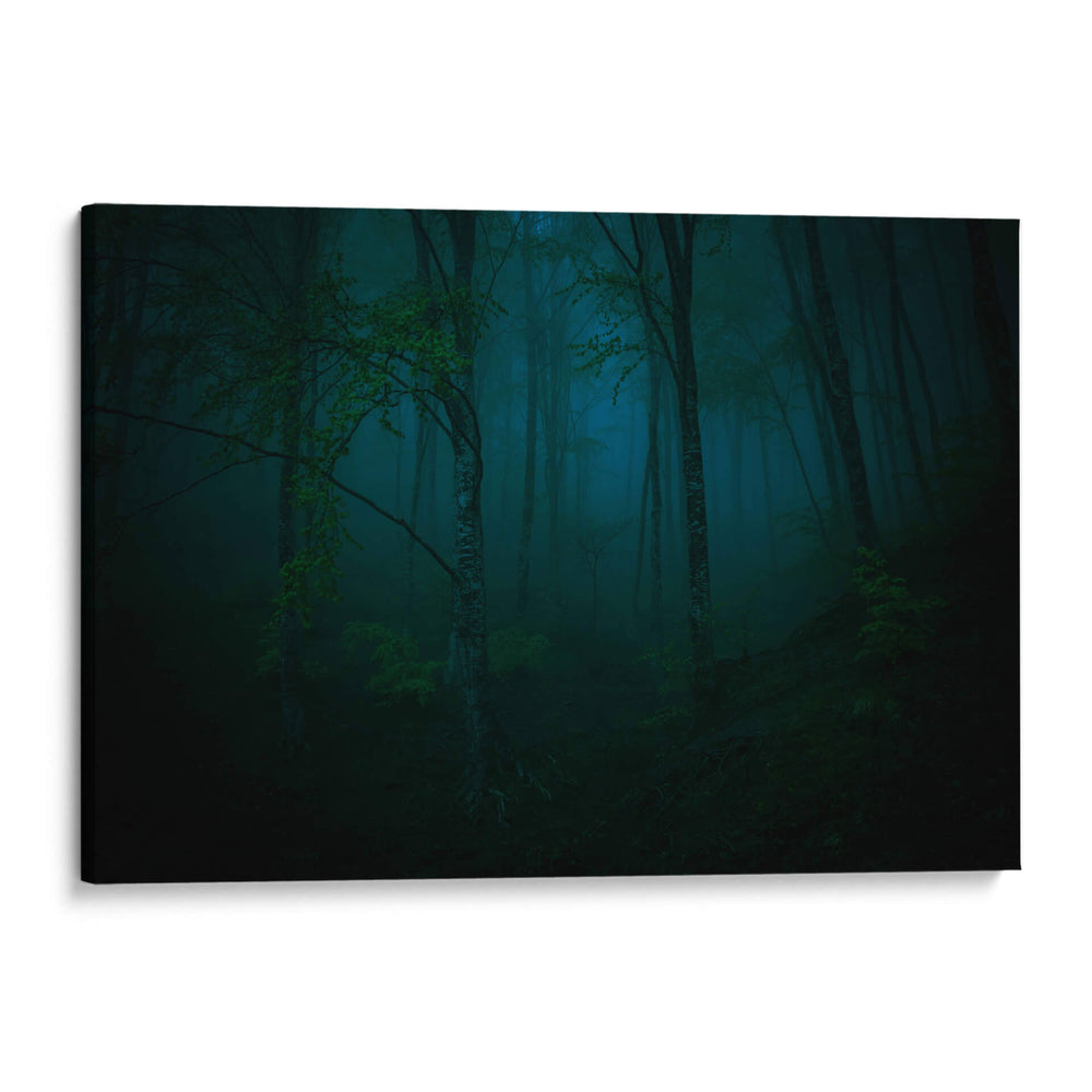 La noche - Antonio Castagna | Cuadro decorativo de Canvas Lab
