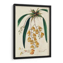 Orquídea Primavera Vi - Ridgeway | Cuadro decorativo de Canvas Lab