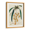 Orquídea Primavera Vi - Ridgeway | Cuadro decorativo de Canvas Lab