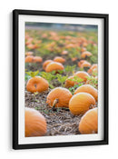Huerto de calabazas - Amanda Abel | Cuadro decorativo de Canvas Lab