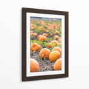 Huerto de calabazas - Amanda Abel | Cuadro decorativo de Canvas Lab