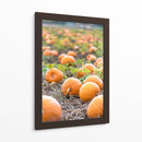Huerto de calabazas - Amanda Abel | Cuadro decorativo de Canvas Lab