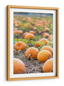 Huerto de calabazas - Amanda Abel | Cuadro decorativo de Canvas Lab