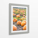 Huerto de calabazas - Amanda Abel | Cuadro decorativo de Canvas Lab