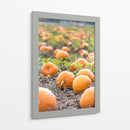 Huerto de calabazas - Amanda Abel | Cuadro decorativo de Canvas Lab