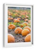 Huerto de calabazas - Amanda Abel | Cuadro decorativo de Canvas Lab