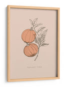 Tiempo de cosecha - casa cartissi | Cuadro decorativo de Canvas Lab