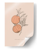 Tiempo de cosecha - casa cartissi | Cuadro decorativo de Canvas Lab