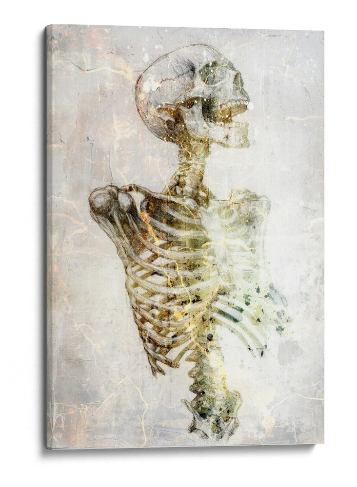 Ilustración divertida del dibujo de una calavera 20 - Rafal Kulik | Cuadro decorativo de Canvas Lab