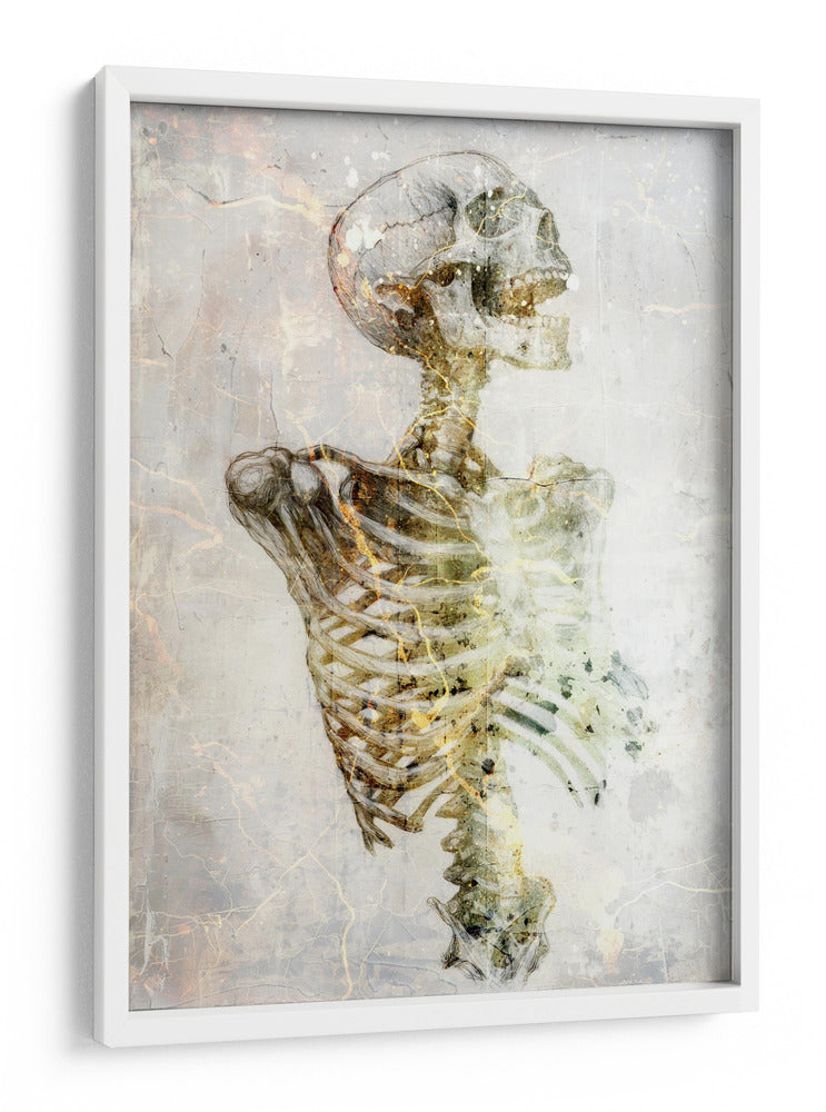 Ilustración divertida del dibujo de una calavera 20 - Rafal Kulik | Cuadro decorativo de Canvas Lab