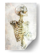 Ilustración divertida del dibujo de una calavera 20 - Rafal Kulik | Cuadro decorativo de Canvas Lab