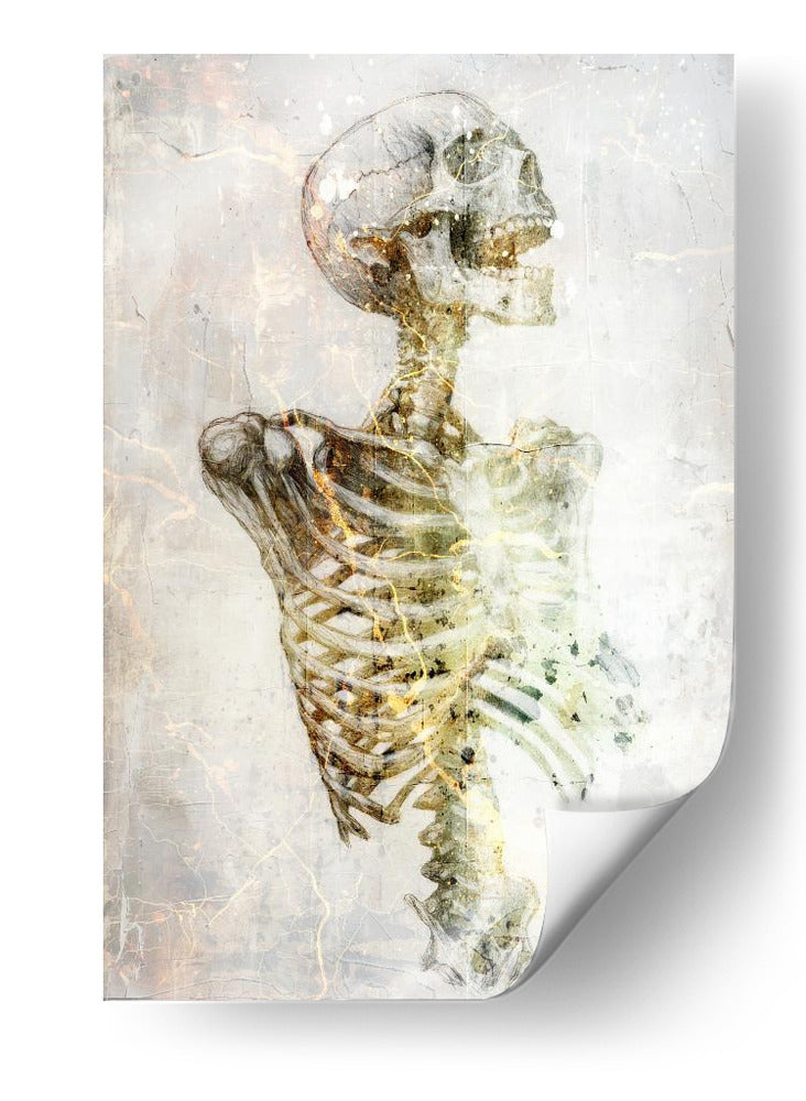 Ilustración divertida del dibujo de una calavera 20 - Rafal Kulik | Cuadro decorativo de Canvas Lab