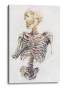 Ilustración de un dibujo divertido de una calavera 19 - Rafal Kulik | Cuadro decorativo de Canvas Lab