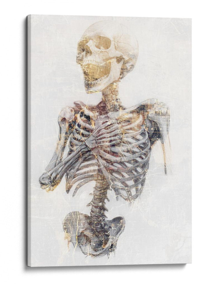 Ilustración de un dibujo divertido de una calavera 19 - Rafal Kulik | Cuadro decorativo de Canvas Lab