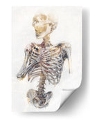 Ilustración de un dibujo divertido de una calavera 19 - Rafal Kulik | Cuadro decorativo de Canvas Lab