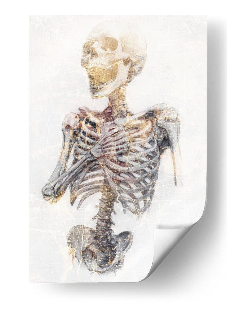 Ilustración de un dibujo divertido de una calavera 19 - Rafal Kulik | Cuadro decorativo de Canvas Lab