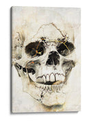 Ilustración de dibujo de calavera divertida 04 - Rafal Kulik | Cuadro decorativo de Canvas Lab