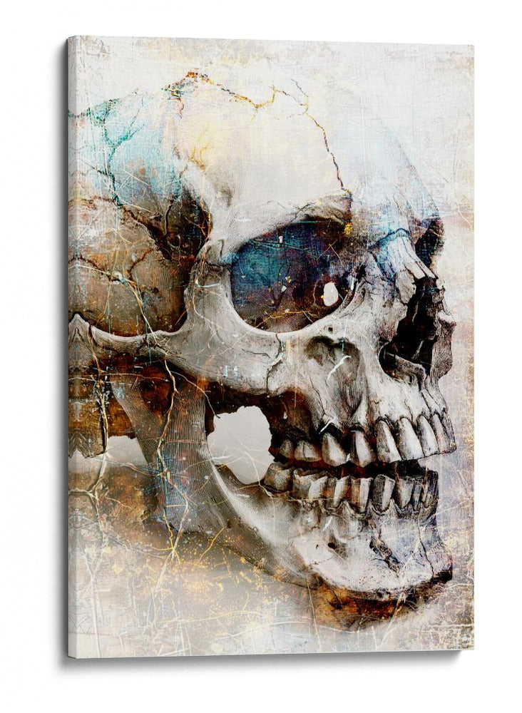 Ilustración de dibujo de calavera divertida 01 - Rafal Kulik | Cuadro decorativo de Canvas Lab