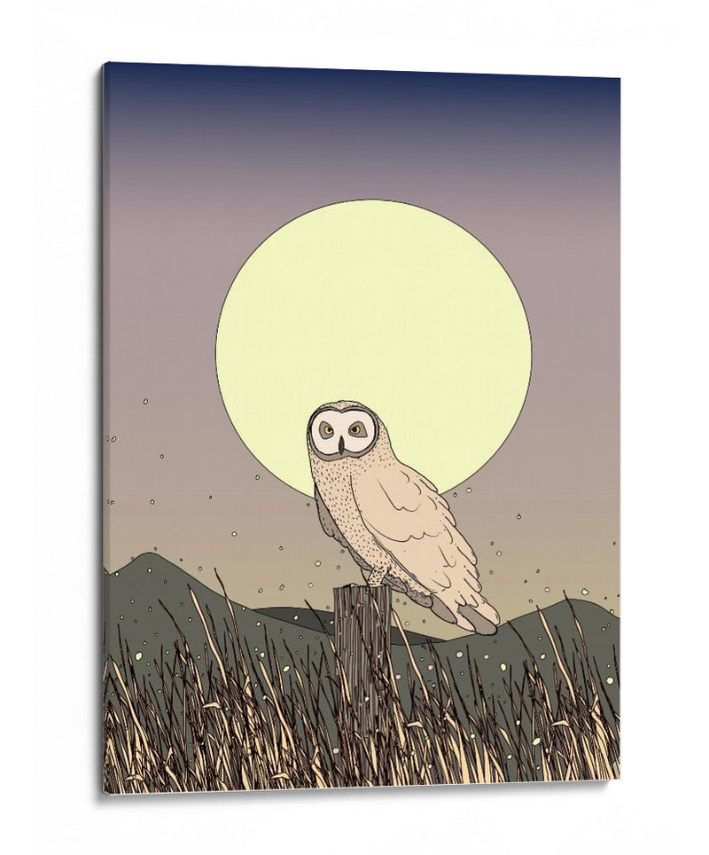 Búho a la luz de la luna - Nicholas | Cuadro decorativo de Canvas Lab