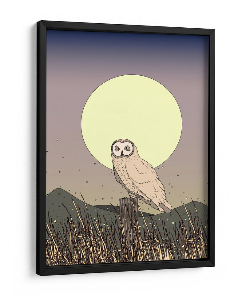 Búho a la luz de la luna - Nicholas | Cuadro decorativo de Canvas Lab