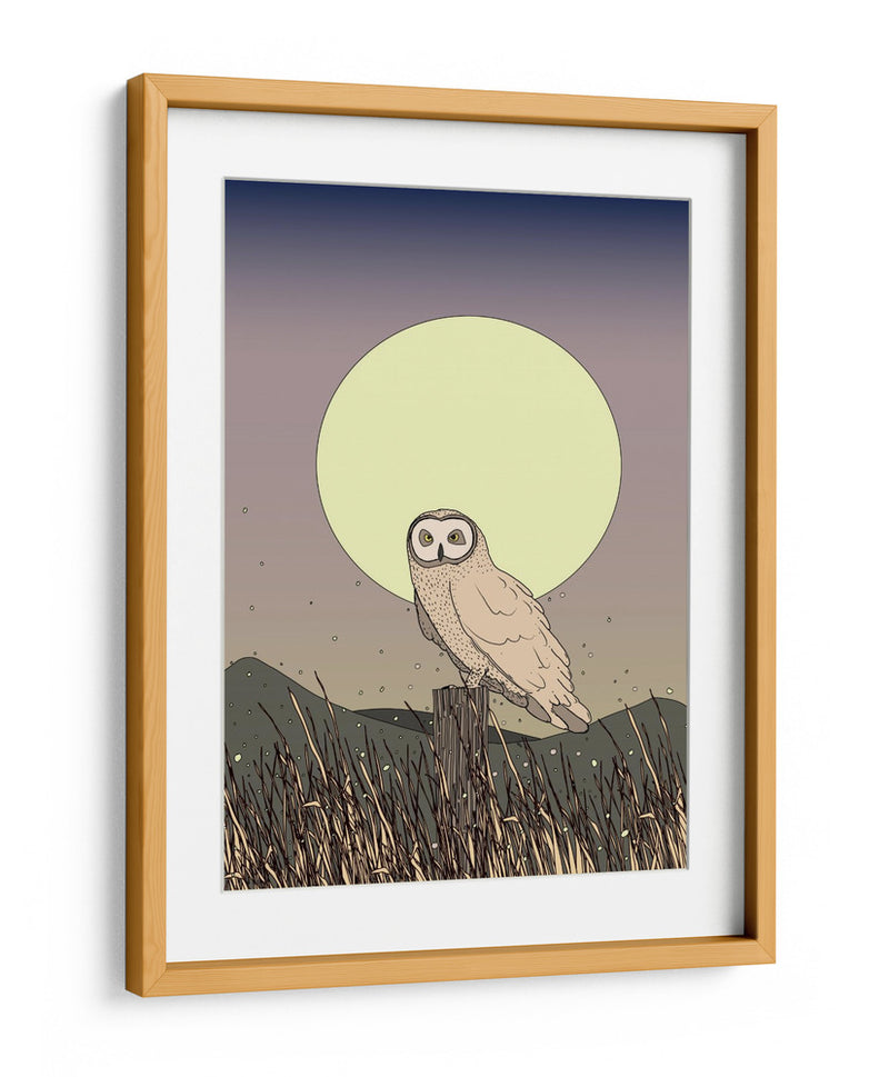 Búho a la luz de la luna - Nicholas | Cuadro decorativo de Canvas Lab