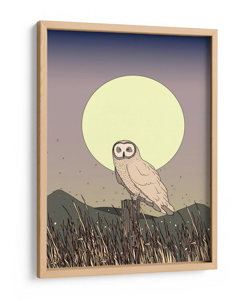 Búho a la luz de la luna - Nicholas | Cuadro decorativo de Canvas Lab