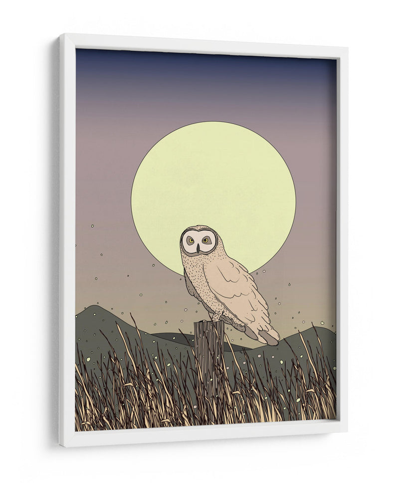 Búho a la luz de la luna - Nicholas | Cuadro decorativo de Canvas Lab