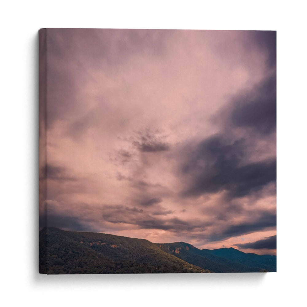 Antes de que nos olviden  - E Ordóñez | Cuadro decorativo de Canvas Lab
