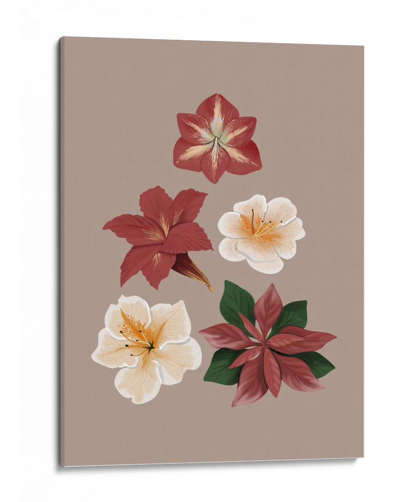 Flores de Navidad - Anis Illustration | Cuadro decorativo de Canvas Lab