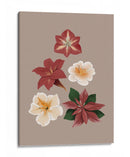 Flores de Navidad - Anis Illustration | Cuadro decorativo de Canvas Lab