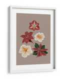 Flores de Navidad - Anis Illustration | Cuadro decorativo de Canvas Lab