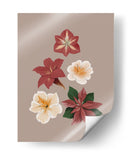 Flores de Navidad - Anis Illustration | Cuadro decorativo de Canvas Lab