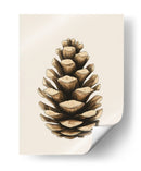 Pino - Fluidys Studio | Cuadro decorativo de Canvas Lab