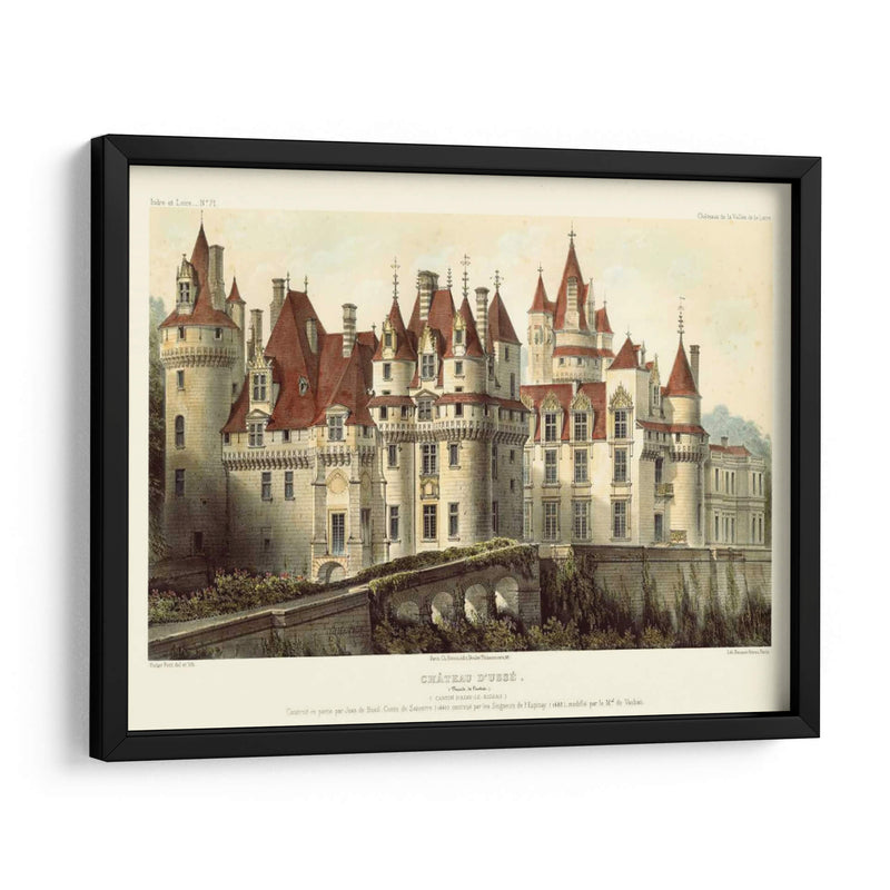 Chateaux Francés Vii - Victor Petit | Cuadro decorativo de Canvas Lab