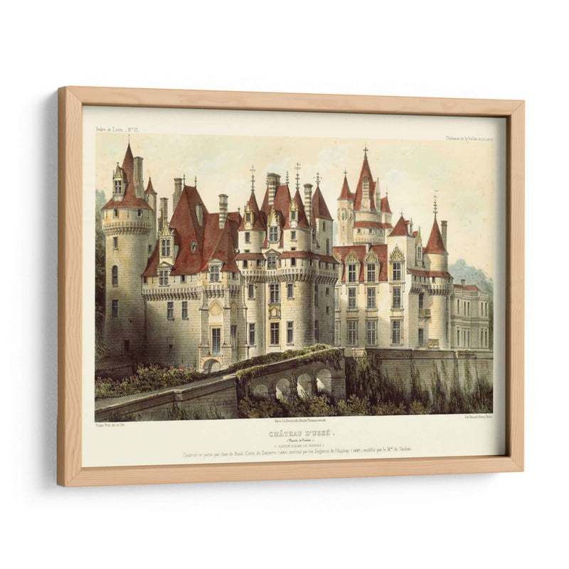 Chateaux Francés Vii - Victor Petit | Cuadro decorativo de Canvas Lab