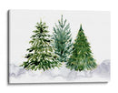 Tres árboles de Navidad de acuarela - Rosana Laiz Blursbyai | Cuadro decorativo de Canvas Lab