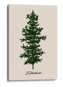 Oh Tannenbaum (verde) - Kubistika | Cuadro decorativo de Canvas Lab