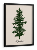 Oh Tannenbaum (verde) - Kubistika | Cuadro decorativo de Canvas Lab