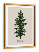 Oh Tannenbaum (verde) - Kubistika | Cuadro decorativo de Canvas Lab