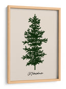 Oh Tannenbaum (verde) - Kubistika | Cuadro decorativo de Canvas Lab
