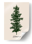 Oh Tannenbaum (verde) - Kubistika | Cuadro decorativo de Canvas Lab