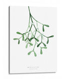 Muérdago de acuarela - Rosana Laiz Blursbyai | Cuadro decorativo de Canvas Lab