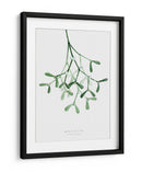 Muérdago de acuarela - Rosana Laiz Blursbyai | Cuadro decorativo de Canvas Lab