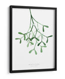 Muérdago de acuarela - Rosana Laiz Blursbyai | Cuadro decorativo de Canvas Lab